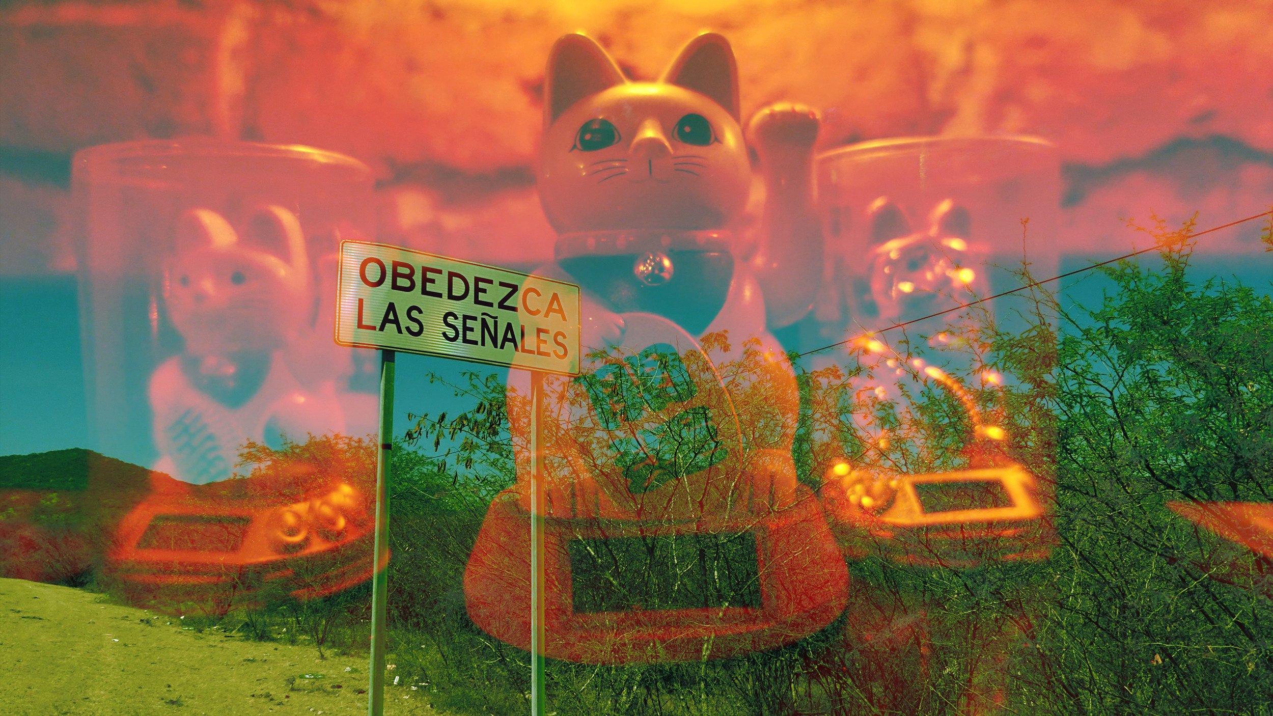 Las señales obedezca (Take heed of the signs)