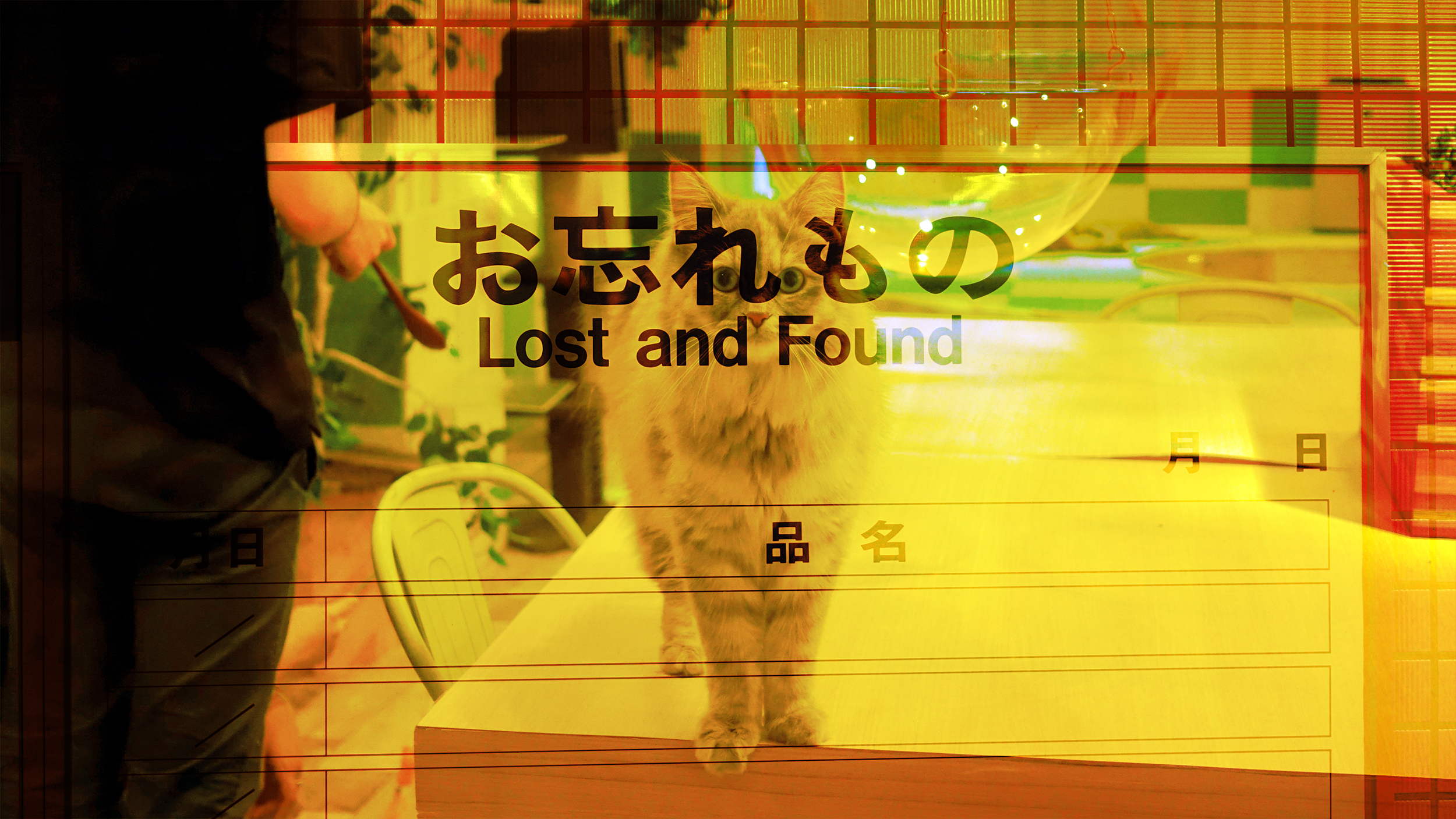 Lost & Found