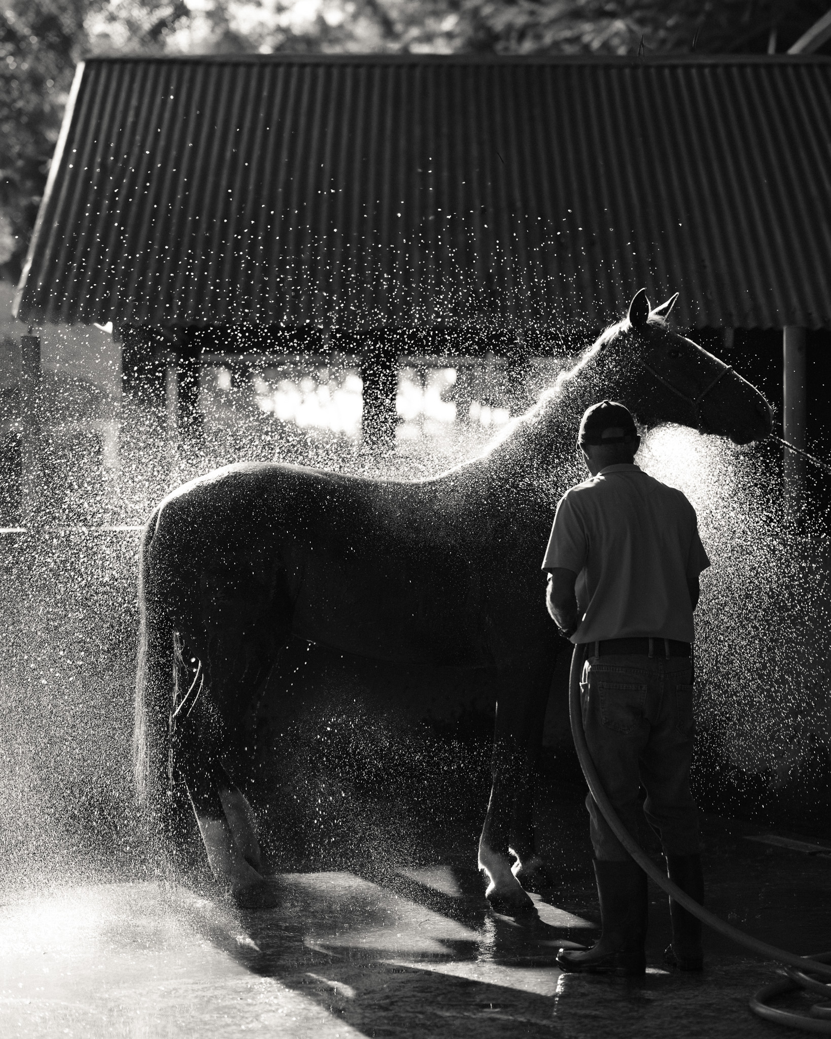 El Baño