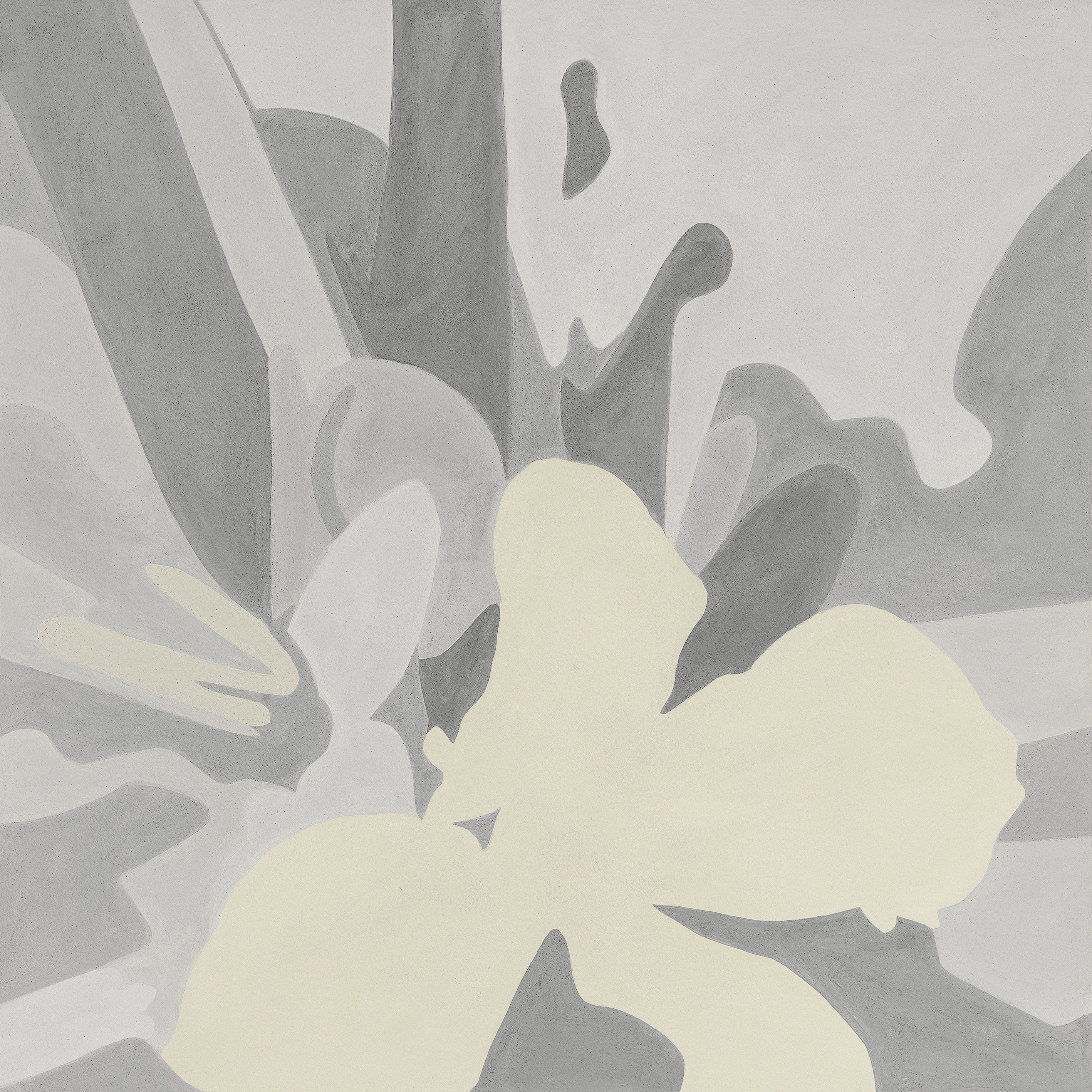 Cuerpo o Jardín II — view 2