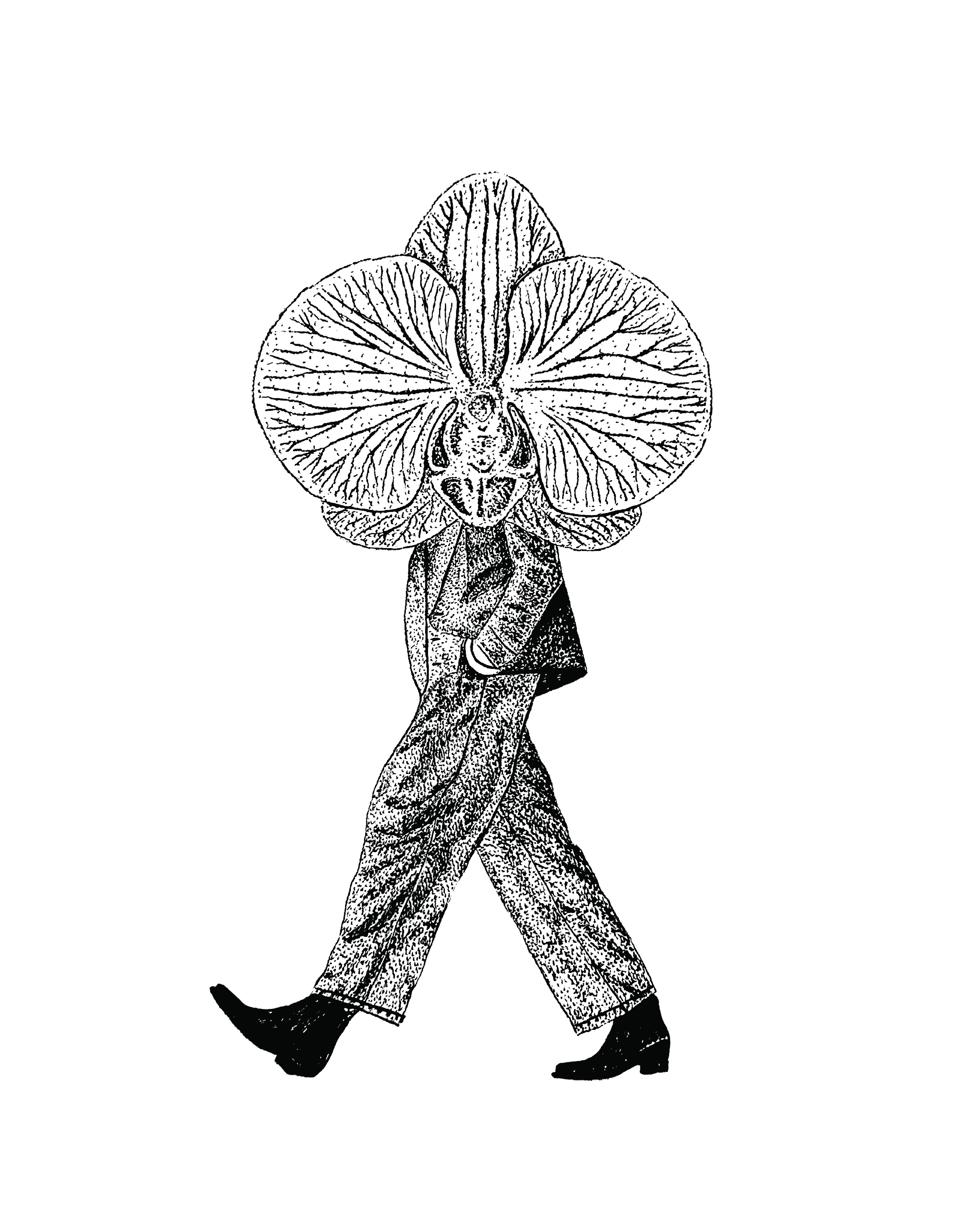 Walking Flowers Vol. 3