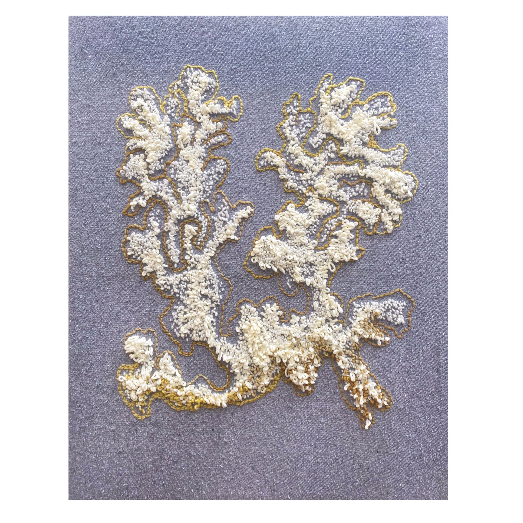 Liquen Salitre II